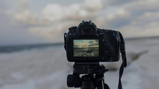Les bases de la photographie - Doriane G.